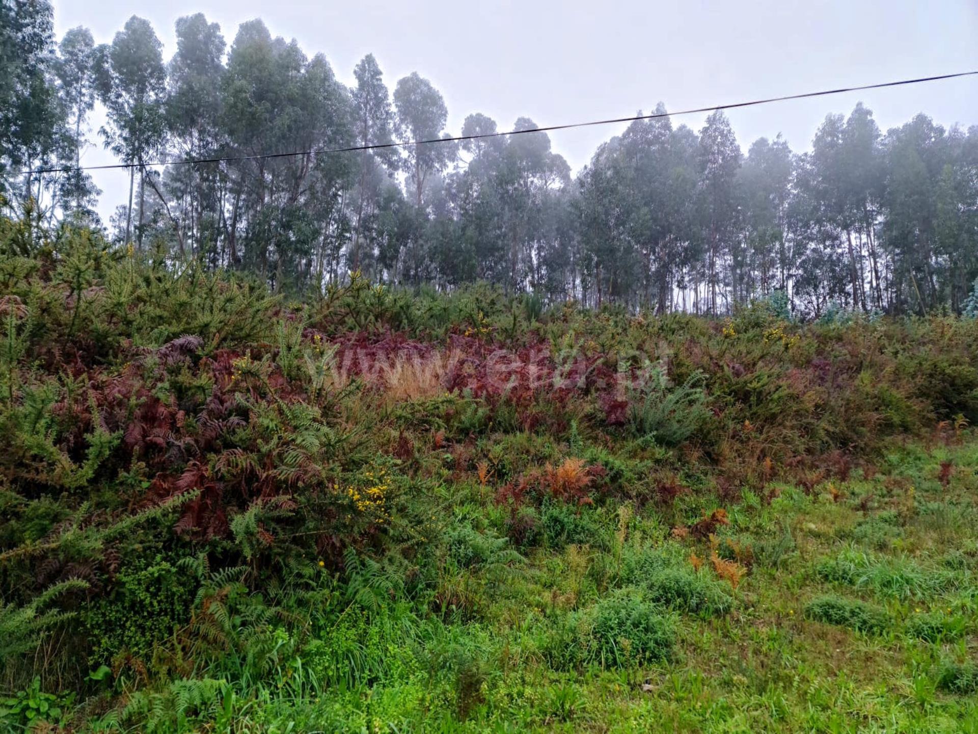 Land for sale in Amarante, Portugal — €89,000