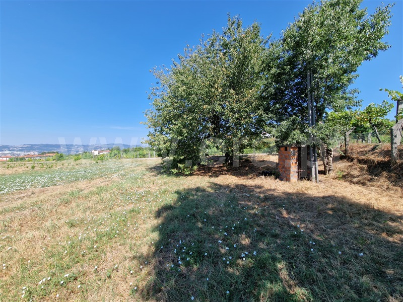 Terreno para Construção  Amarante, Lufrei - 1267667 - 3