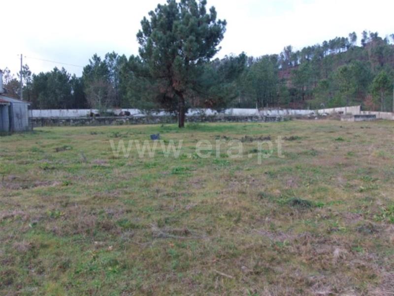 Terreno para Construção / Amarante, Lufrei