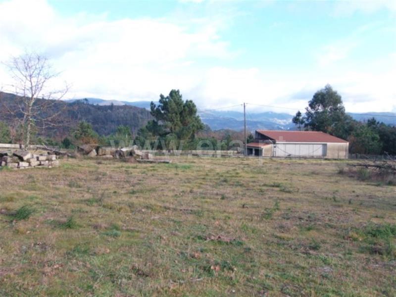 Terreno para Construção  Amarante, Lufrei - 620442 - 2