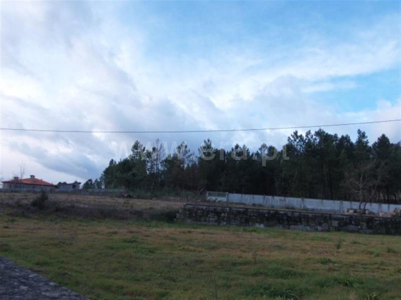Terreno para Construção  Amarante, Lufrei - 620442 - 5