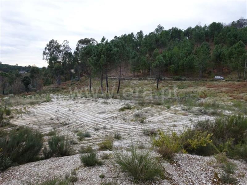 Terreno para Construção / Amarante, Lufrei
