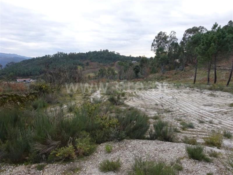 Terreno para Construção  Amarante, Lufrei - 634426 - 2