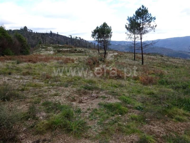Terreno para Construção  Amarante, Lufrei - 634426 - 3