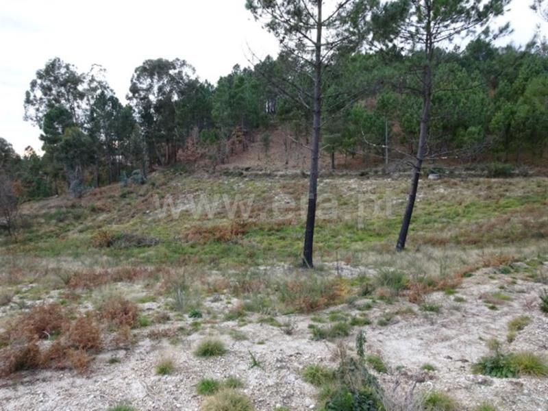Terreno para Construção  Amarante, Lufrei - 634426 - 4