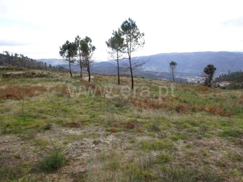 Terreno para Construção  Amarante, Lufrei - 634426 - 5
