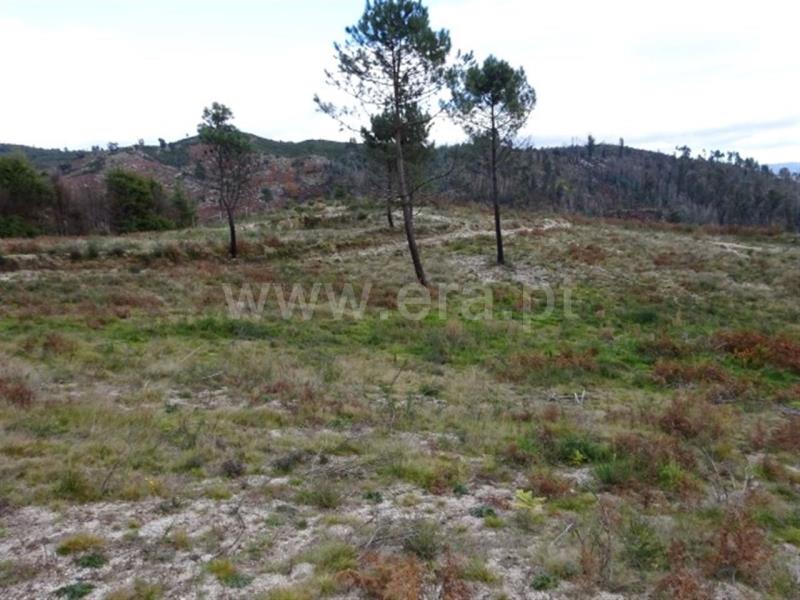 Terreno para Construção  Amarante, Lufrei - 634426 - 6