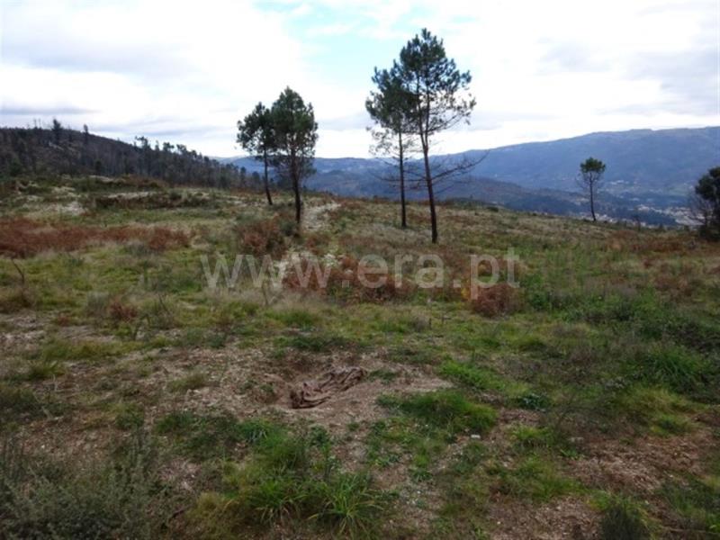 Terreno para Construção  Amarante, Lufrei - 634426 - 11