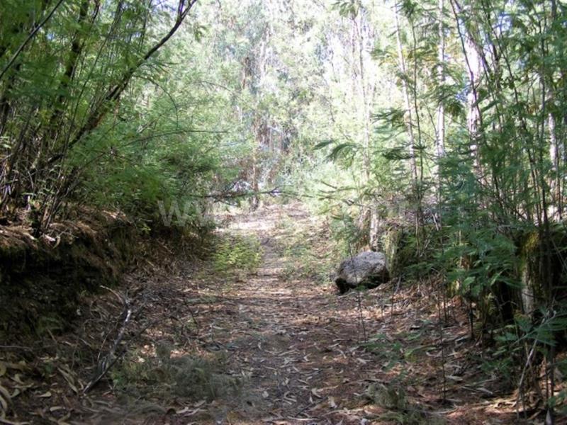 Terreno para Construção / Amarante, Mancelos