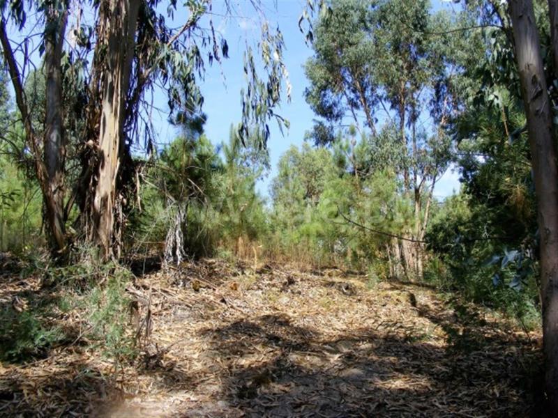 Terreno para Construção  Amarante, Mancelos - 759263 - 2