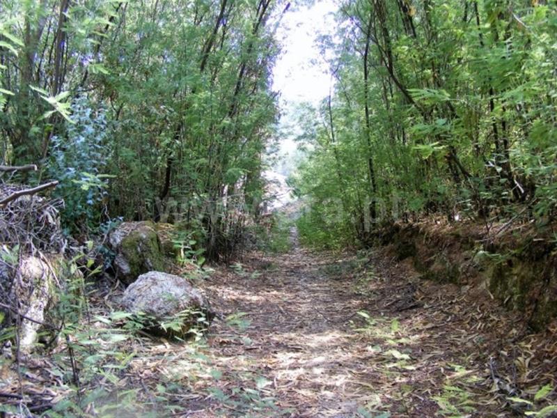 Terreno para Construção  Amarante, Mancelos - 759263 - 5