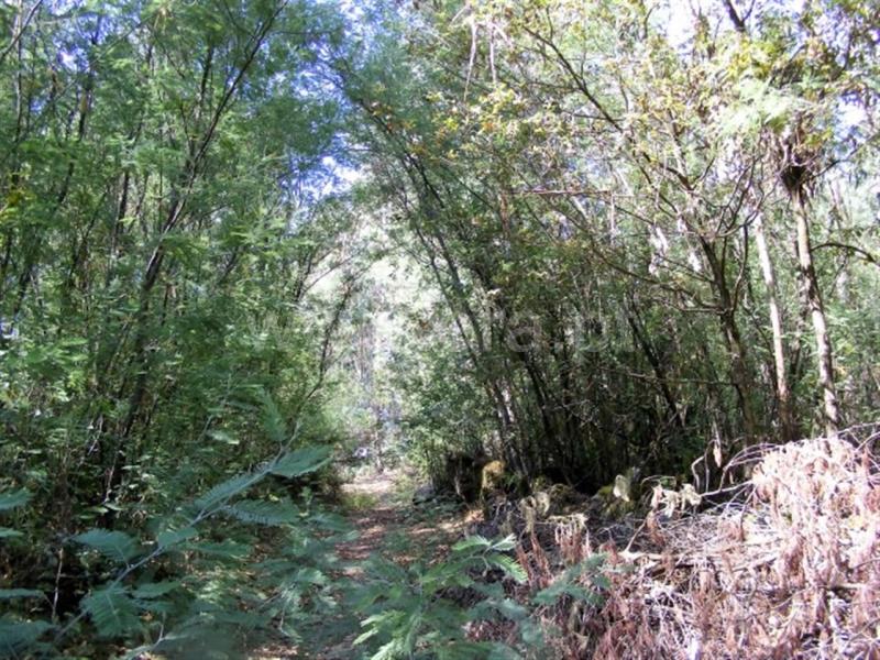Terreno para Construção  Amarante, Mancelos - 759263 - 8