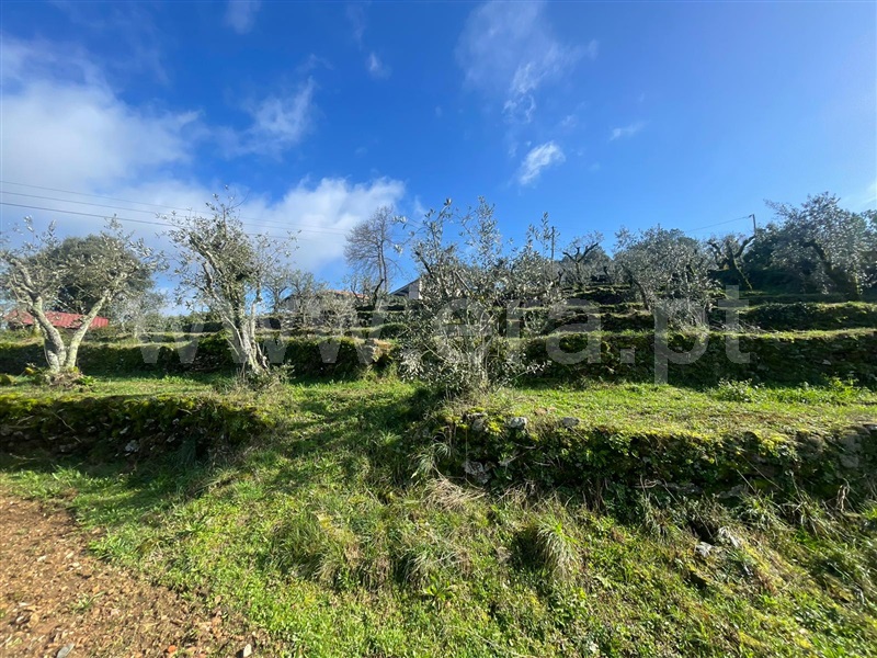 Terreno para Construção / Amarante, Olo e Canadelo