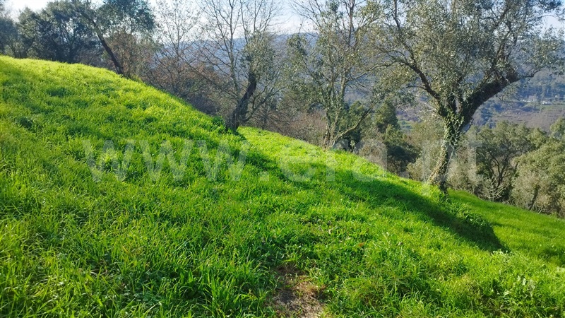 Terreno para Construção / Amarante, Rebordelo