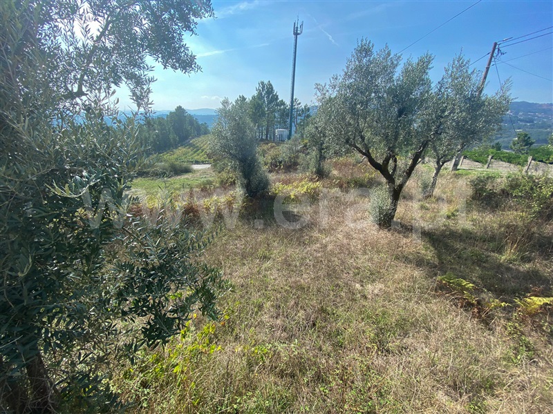 Terreno para Construção  Amarante, Salvador do Monte - 1276352 - 1