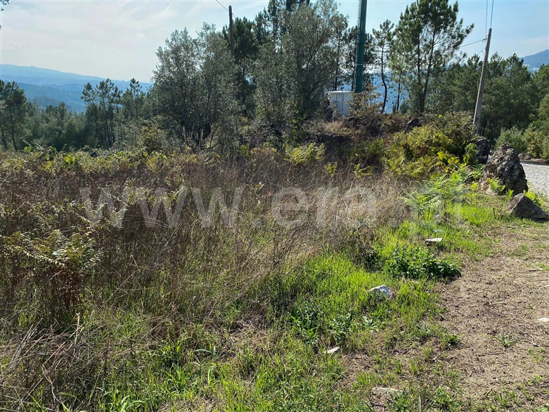 Terreno para Construção  Amarante, Salvador do Monte - 1276352 - 2