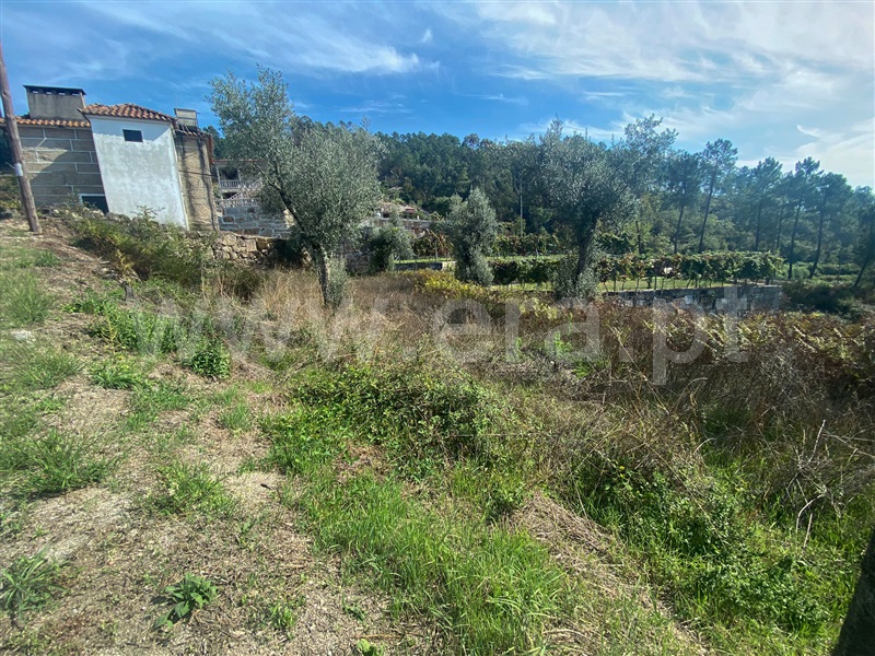 Terreno para Construção  Amarante, Salvador do Monte - 1276352 - 3