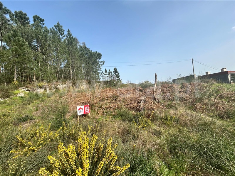 Terreno para Construção / Amarante, Salvador do Monte