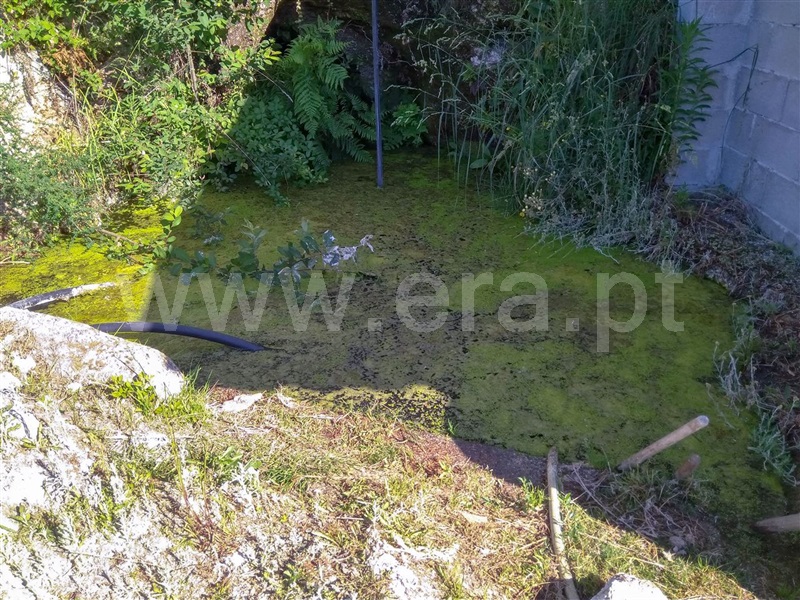 Terreno para Construção  Amarante, Telões - 1012226 - 5