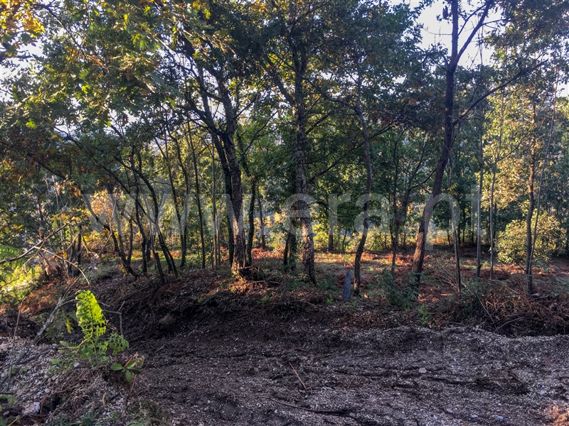 Terreno para Construção  Amarante, Vila Chã do Marão - 1291618 - 3