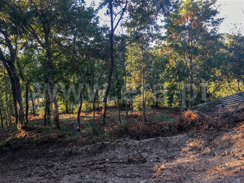 Terreno para Construção  Amarante, Vila Chã do Marão - 1291618 - 4
