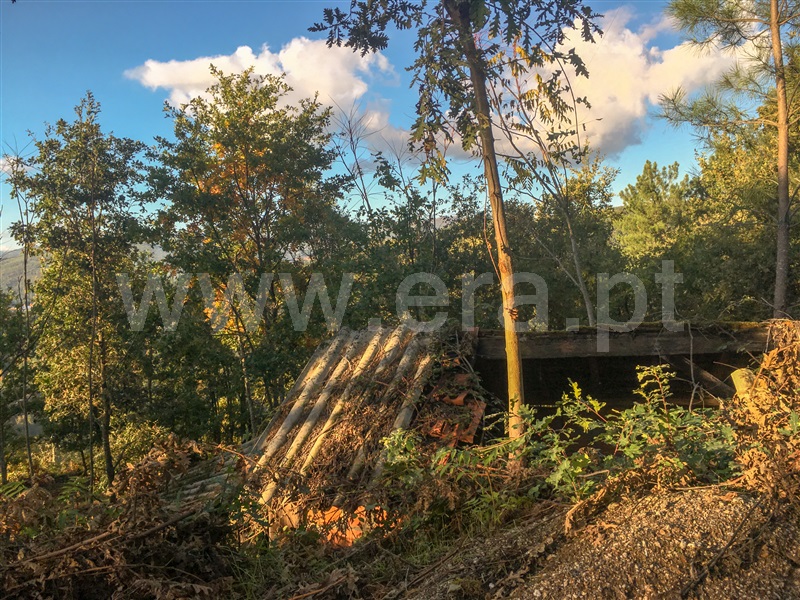 Terreno para Construção  Amarante, Vila Chã do Marão - 1291618 - 6