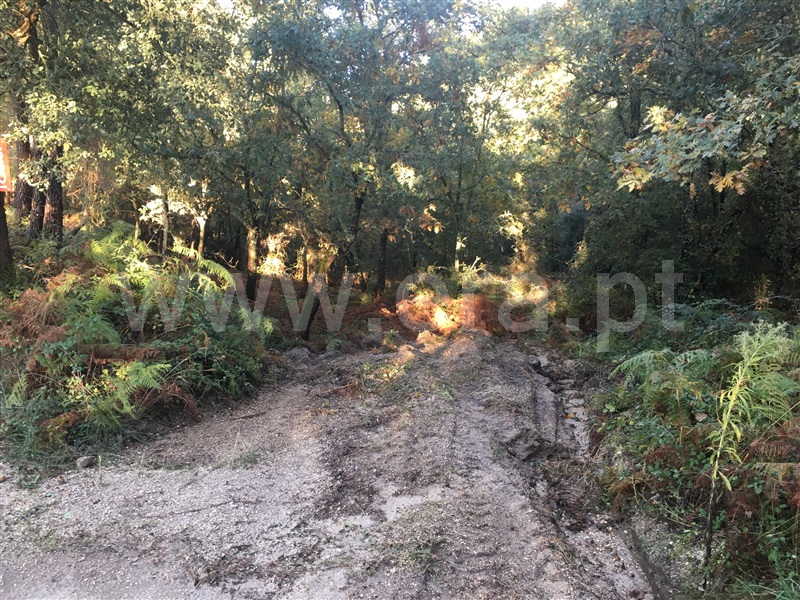 Terreno para Construção  Amarante, Vila Chã do Marão - 1291618 - 7