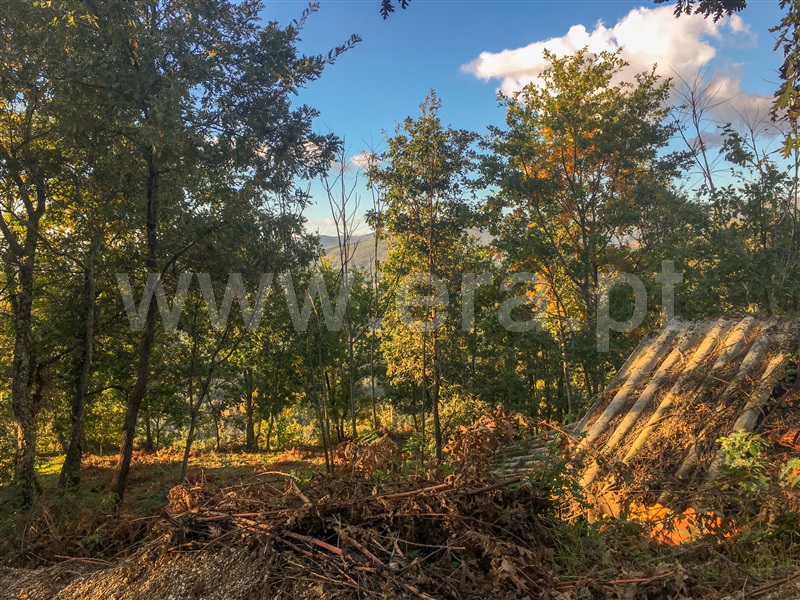 Terreno para Construção  Amarante, Vila Chã do Marão - 1291618 - 10