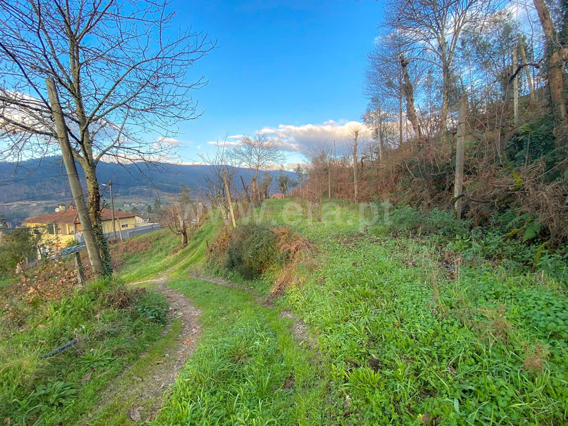 Land for sale in Amarante, Portugal — €70,000