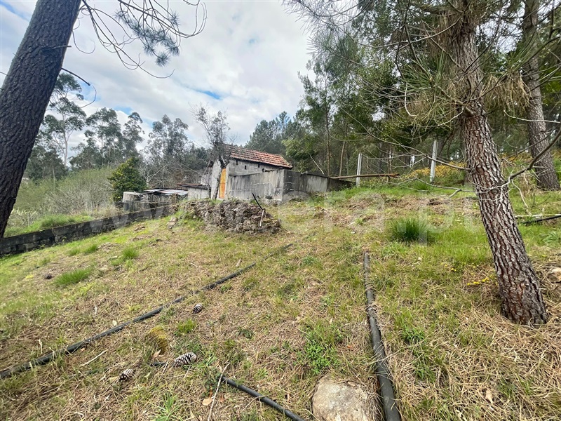 Terreno para Construção  Amarante, Vila Garcia, Aboim e Chapa - 1239943 - 4