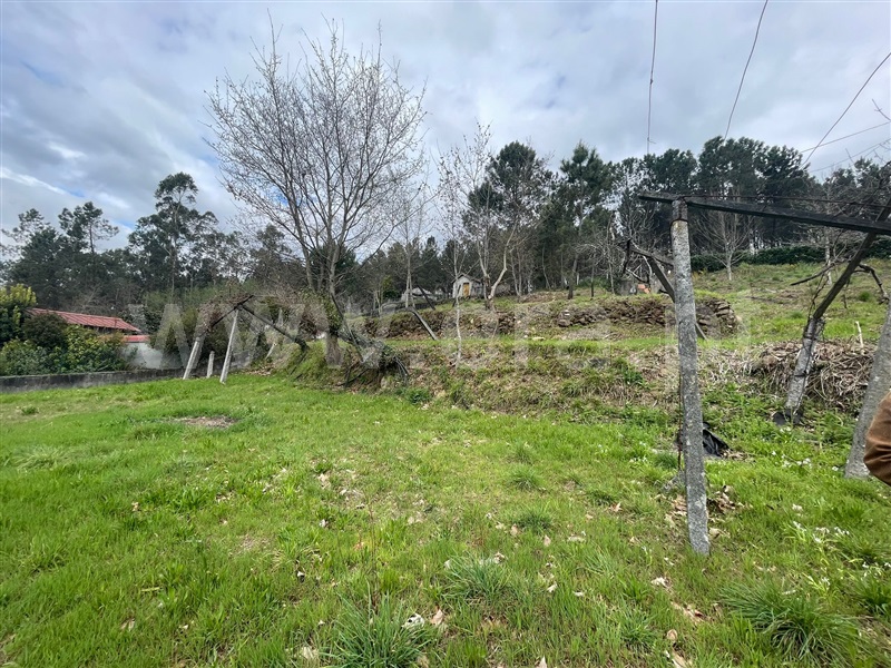 Terreno para Construção  Amarante, Vila Garcia, Aboim e Chapa - 1239943 - 5