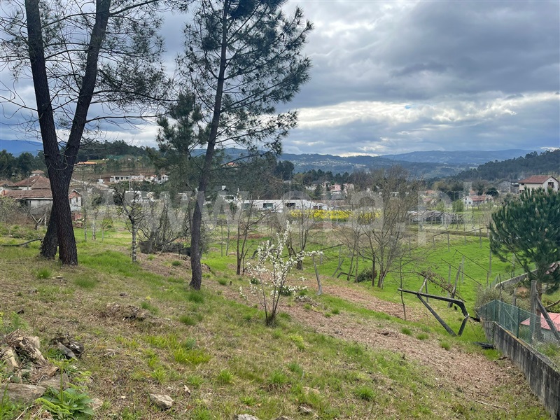 Terreno para Construção  Amarante, Vila Garcia, Aboim e Chapa - 1239943 - 7