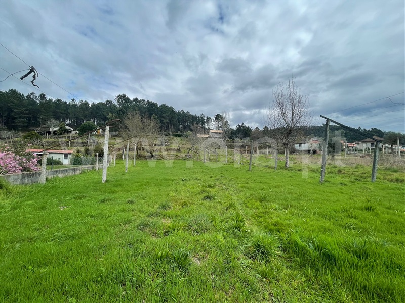 Terreno para Construção  Amarante, Vila Garcia, Aboim e Chapa - 1239943 - 10