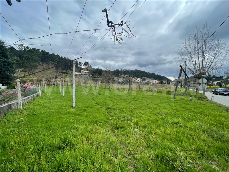 Terreno para Construção  Amarante, Vila Garcia, Aboim e Chapa - 1239943 - 11
