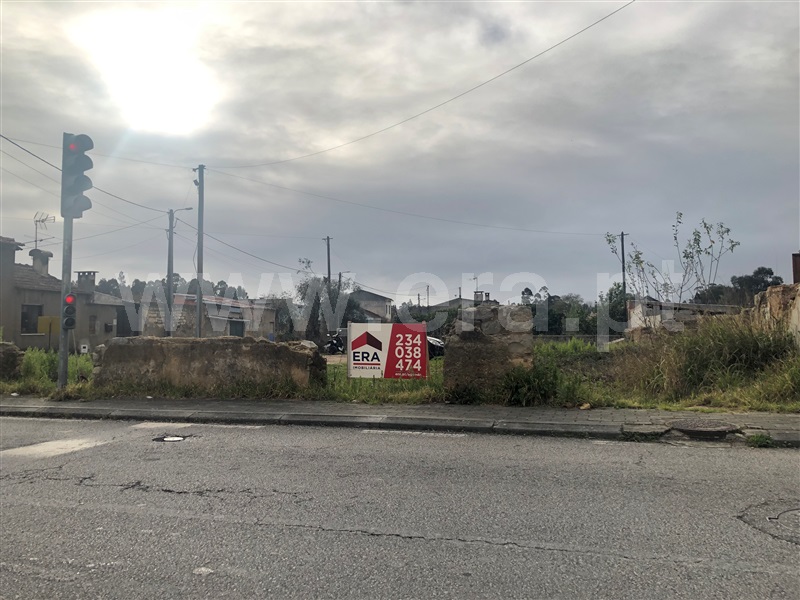 Terreno para Construção / Anadia, São Lourenço do Bairro