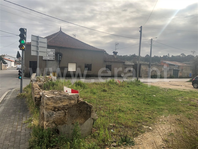 Terreno para Construção  Anadia, São Lourenço do Bairro - 1307666 - 3