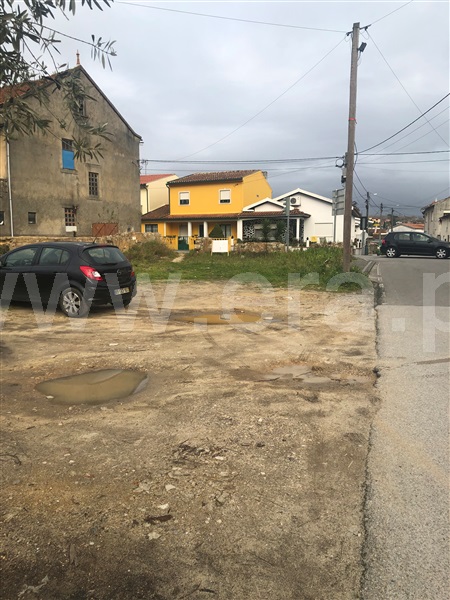 Terreno para Construção  Anadia, São Lourenço do Bairro - 1307666 - 5