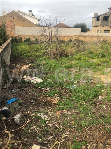 Terreno para Construção  Anadia, São Lourenço do Bairro - 1307666 - 6
