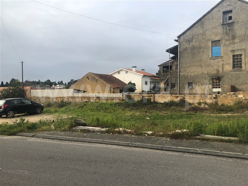 Terreno para Construção  Anadia, São Lourenço do Bairro - 1307666 - 8