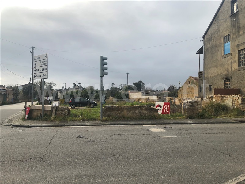 Terreno para Construção  Anadia, São Lourenço do Bairro - 1307666 - 9