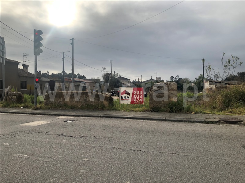 Terreno para Construção  Anadia, São Lourenço do Bairro - 1307666 - 12