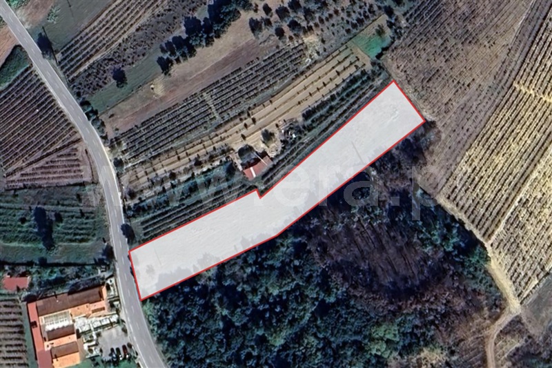 Terreno para Construção / Anadia, São Lourenço do Bairro