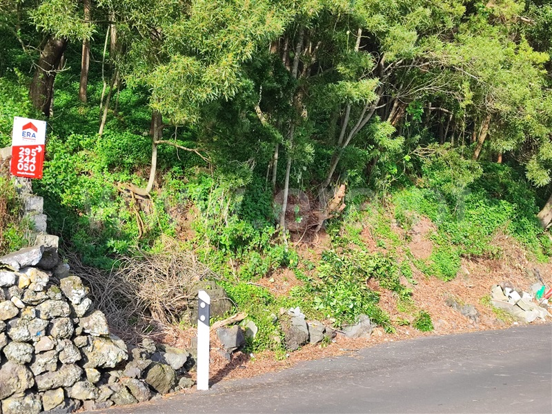Terreno para Construção / Angra do Heroísmo, Terra Chã