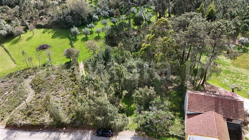 Terreno para Construção / Ansião, ANSIÃO