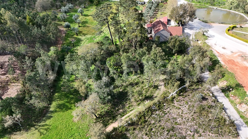 Terreno para Construção  Ansião, Santiago da Guarda - 1391872 - 2