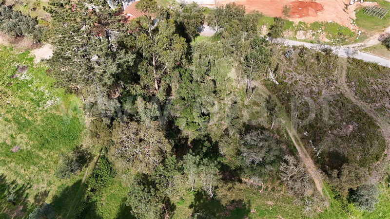 Terreno para Construção  Ansião, Santiago da Guarda - 1391872 - 3