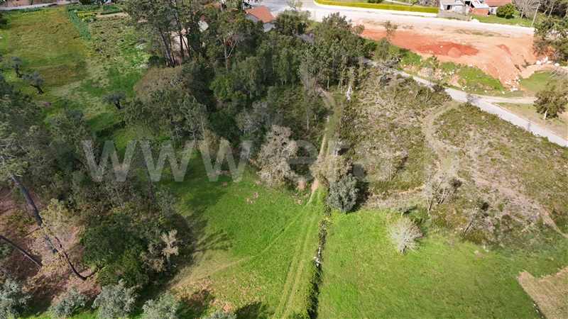 Terreno para Construção  Ansião, Santiago da Guarda - 1391872 - 4