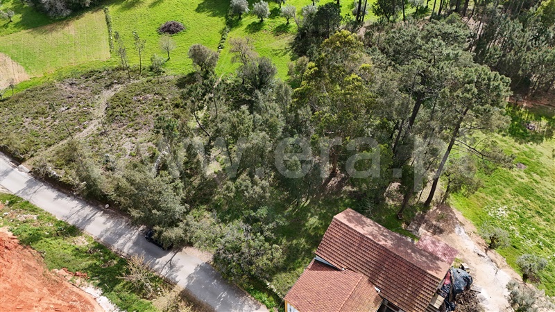 Terreno para Construção  Ansião, Santiago da Guarda - 1391872 - 7