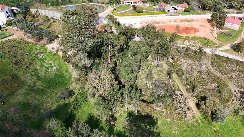 Terreno para Construção  Ansião, Santiago da Guarda - 1391872 - 8