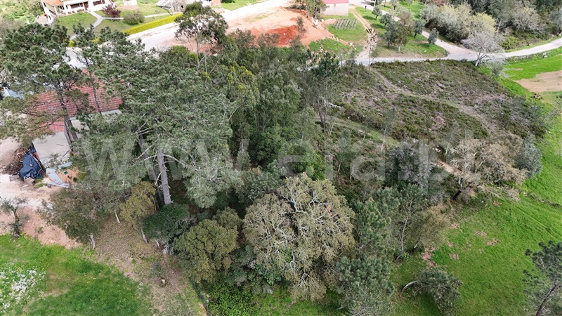Terreno para Construção  Ansião, Santiago da Guarda - 1391872 - 9